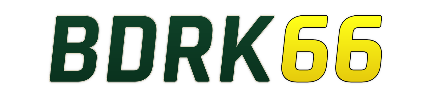 bdrk66 লোগো